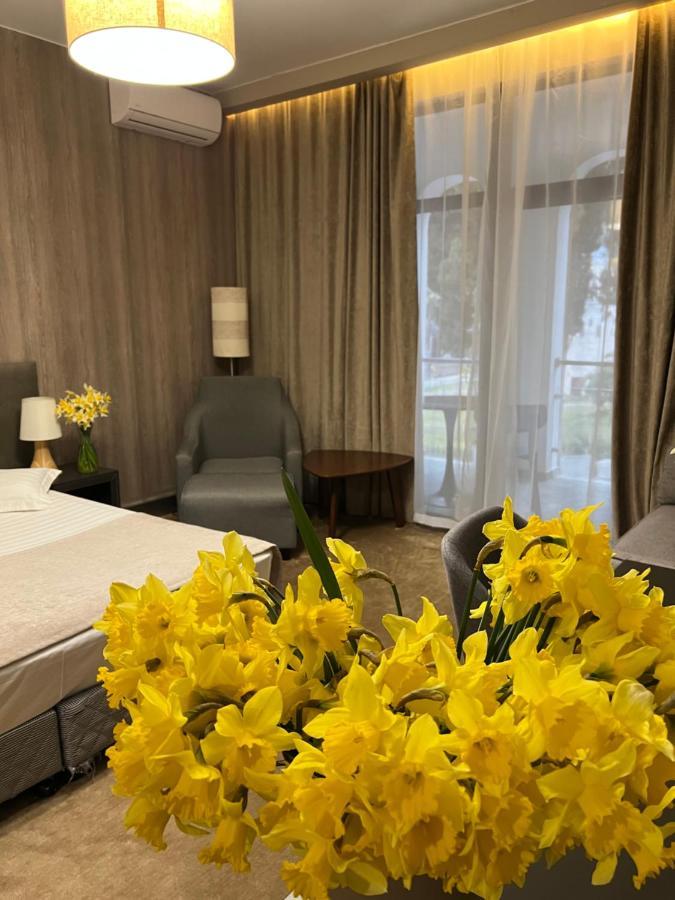 Abaash Hotel Afon New Athos 外观 照片