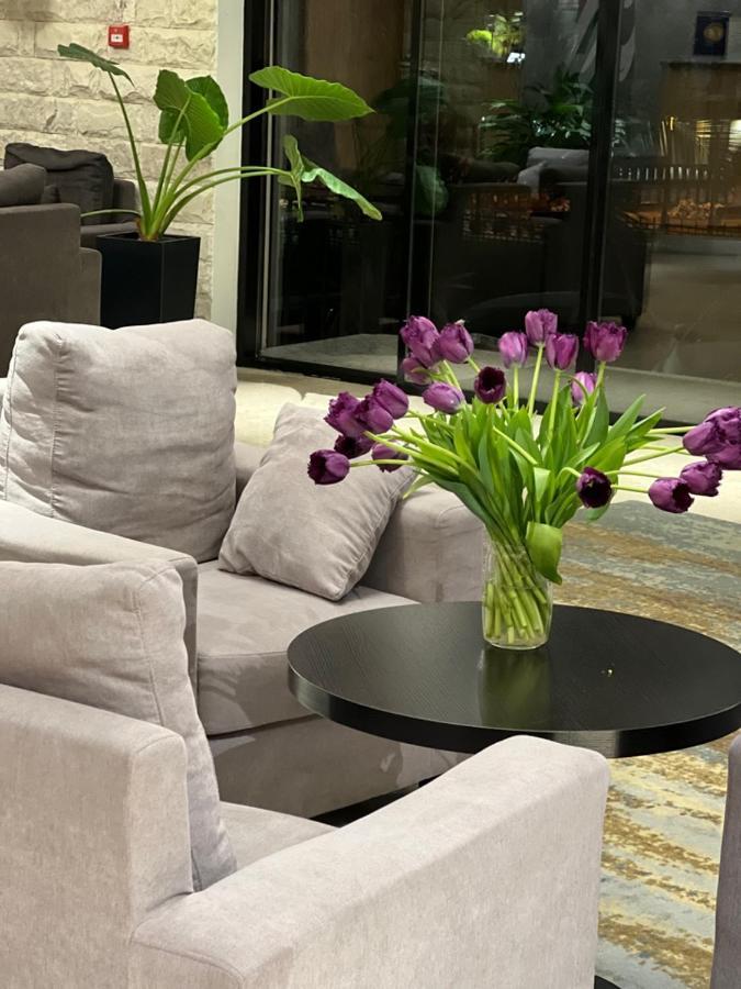 Abaash Hotel Afon New Athos 外观 照片